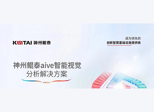 智算方案丨神州鲲泰aive智能视觉分析解决方案